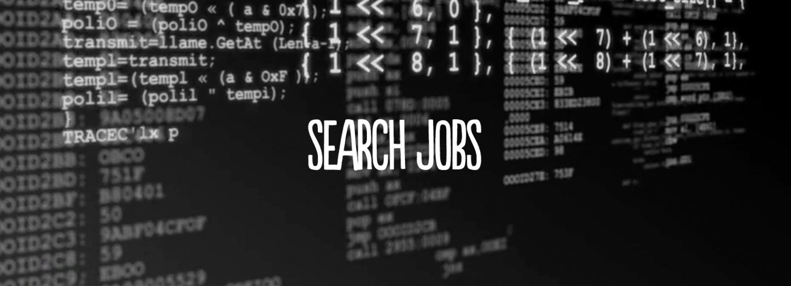 IT Graduate Recruitment Job Search